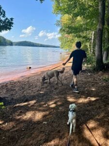 Walking dogs at Red Top mountain trail
