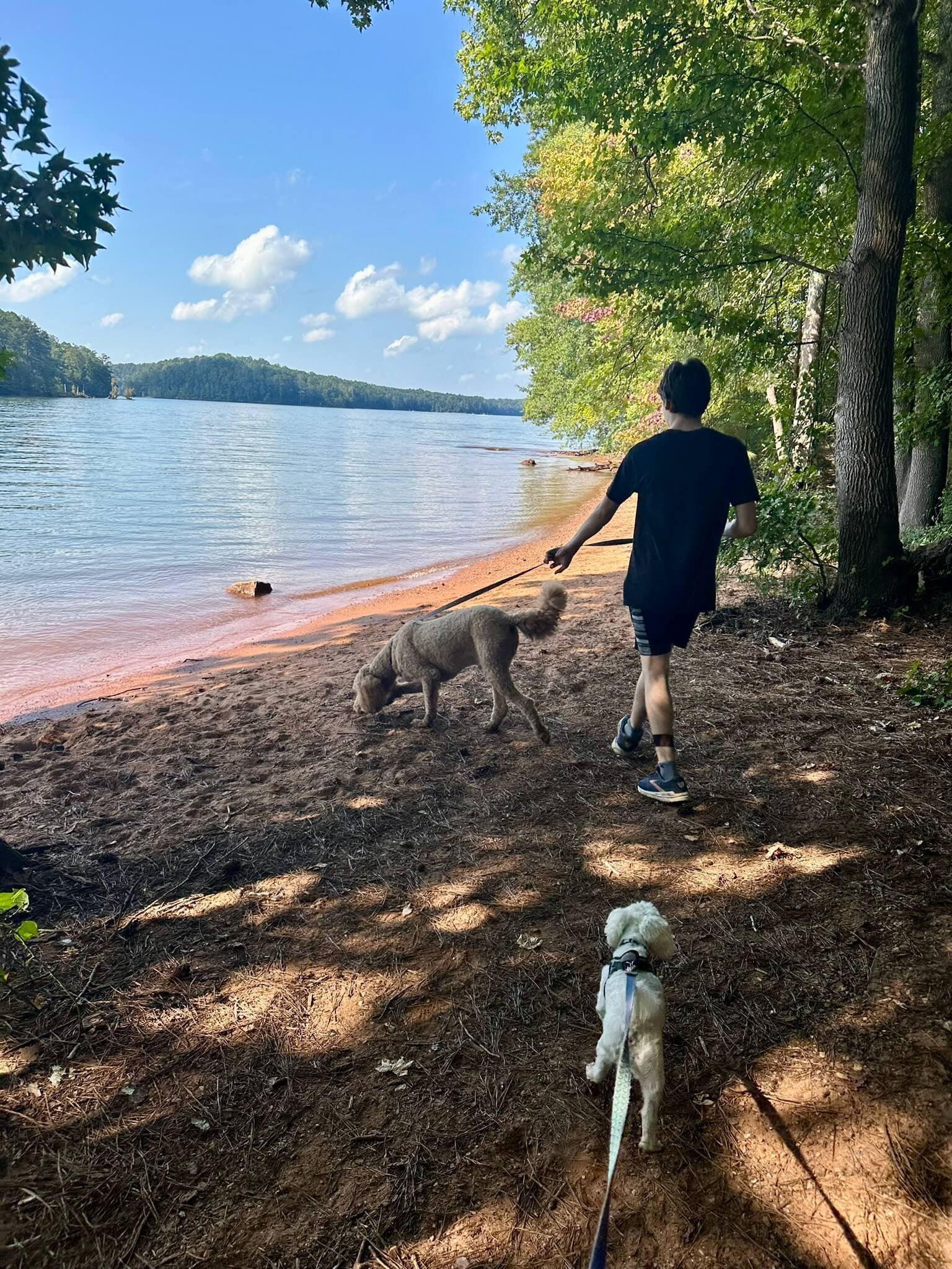 Walking dogs at Red Top mountain trail